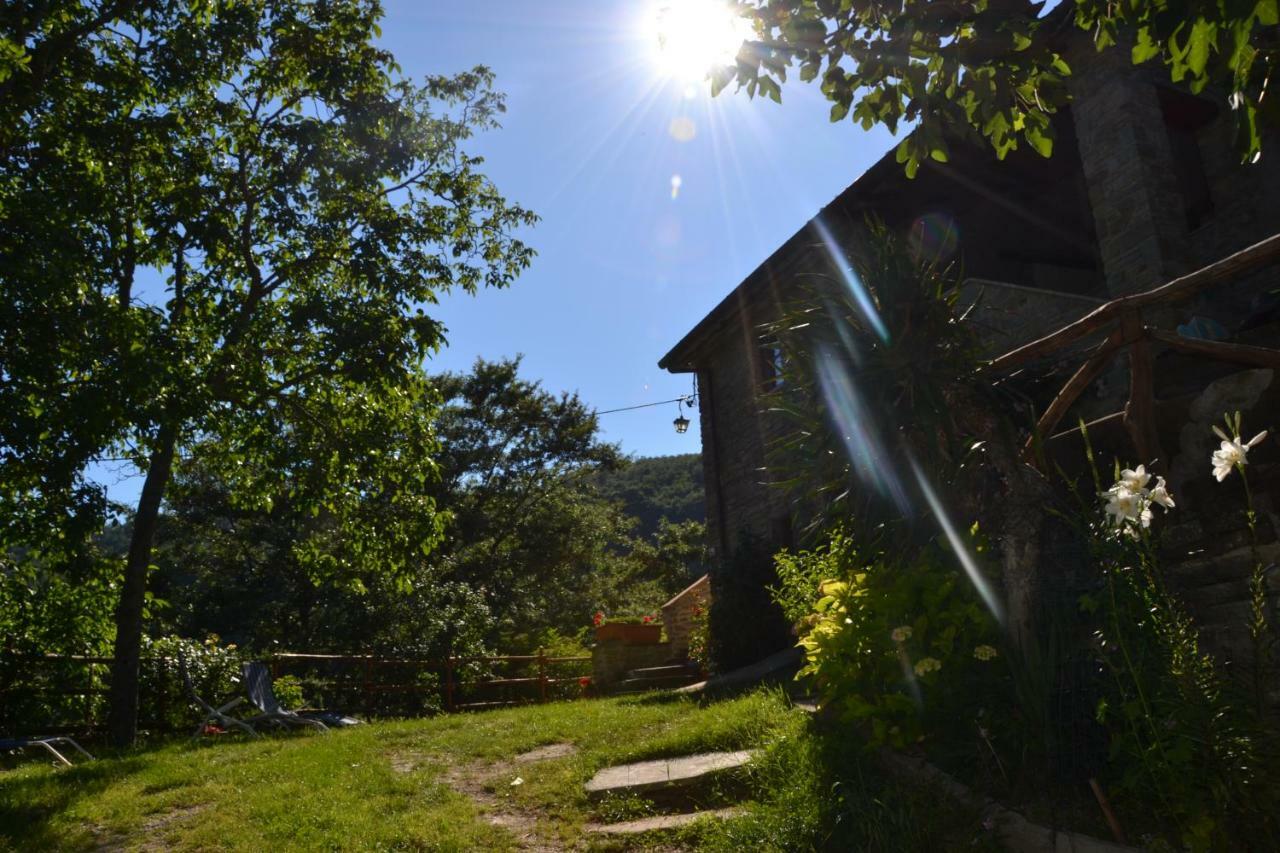 B&B Il Palazzo Sansepolcro Buitenkant foto