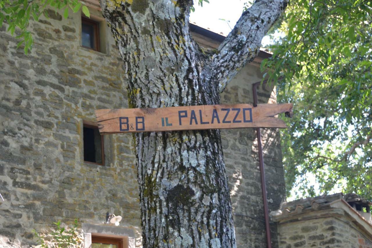 B&B Il Palazzo Sansepolcro Buitenkant foto