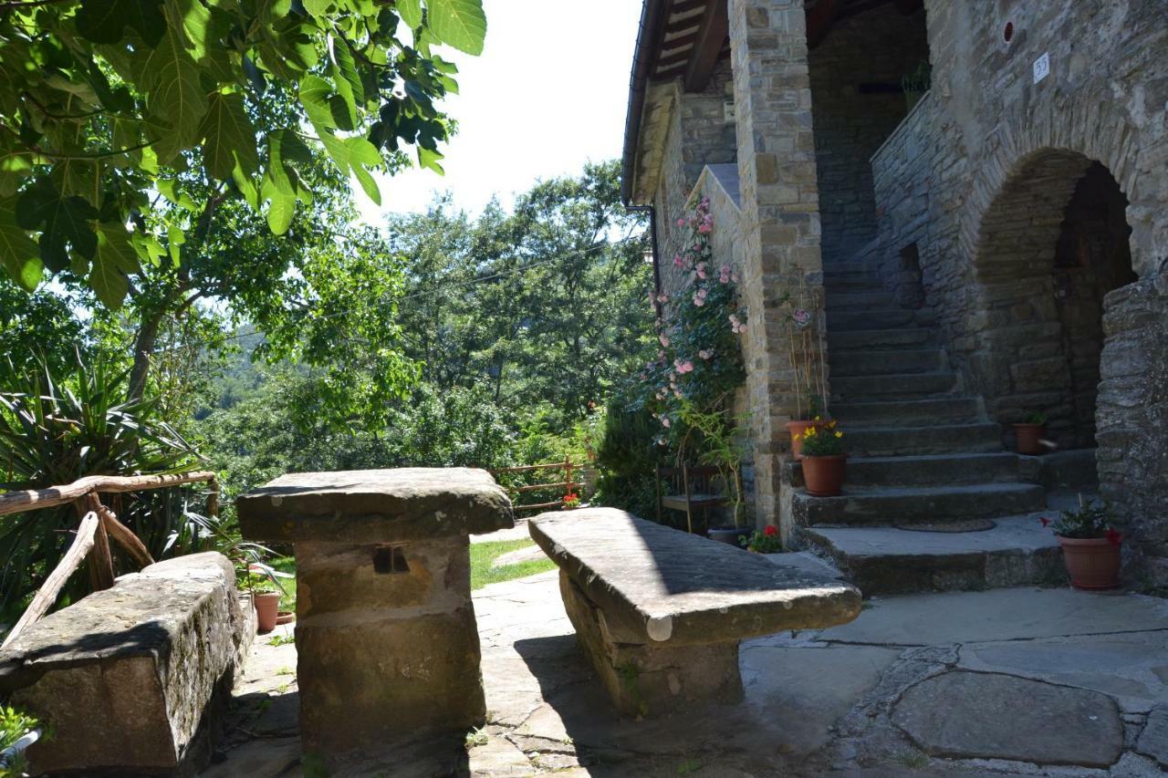 B&B Il Palazzo Sansepolcro Buitenkant foto