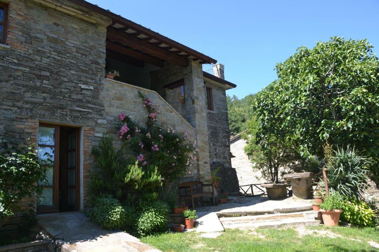B&B Il Palazzo Sansepolcro Buitenkant foto